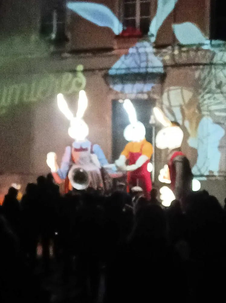 phoenix-protection-Protection-entreprise-et-bal-a-Monsteroux-Milieu (3)