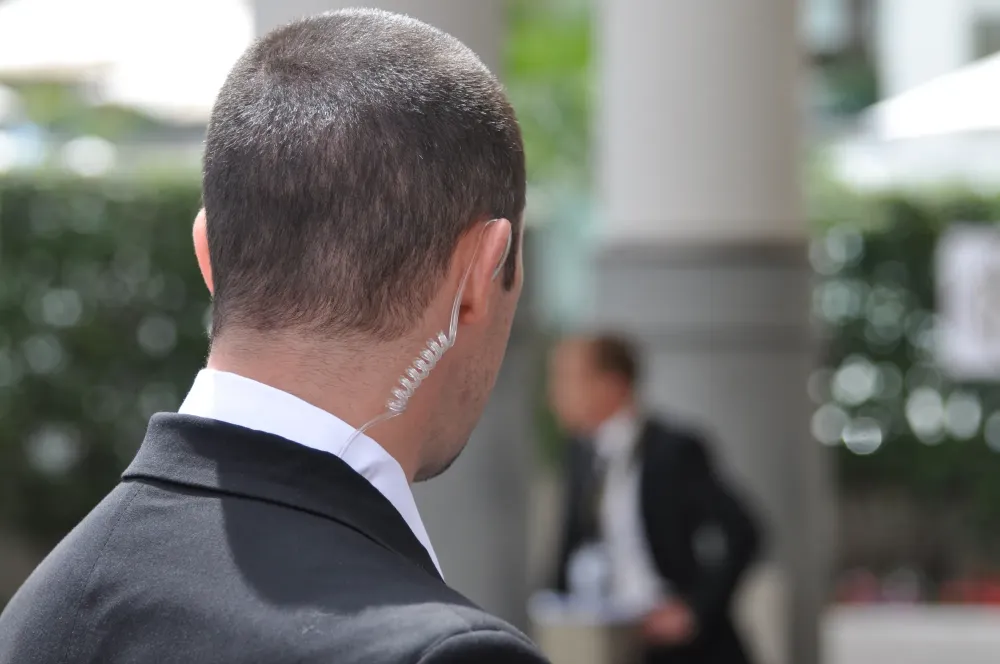 Surveillance sur site près de Chanaswebp